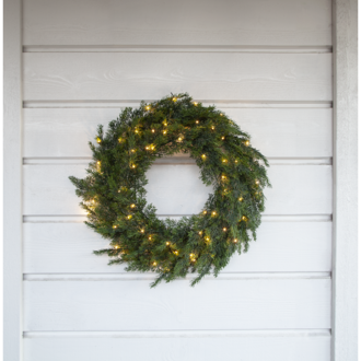 Wreath Thuja