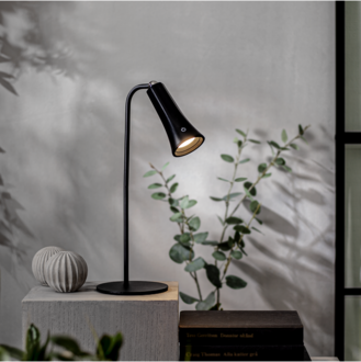 Table Lamp Functional