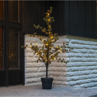 Decorative Tree Larix