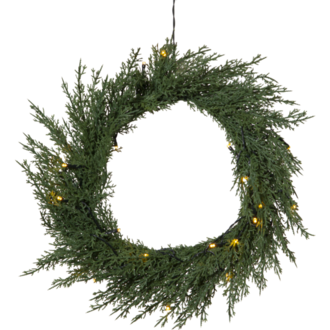 Wreath Thuja