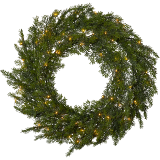 Wreath Thuja