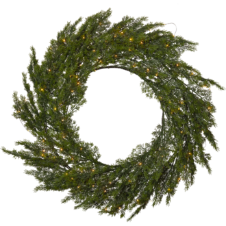 Wreath Thuja