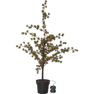 Decorative Tree Larix