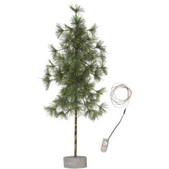 Decorative Tree Pine